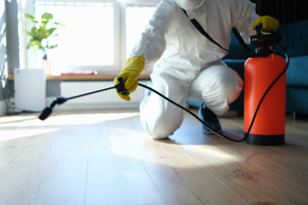 Reliable Odor Removal contractor in Kennebunk, ME by Dulley Family Biohazard Services